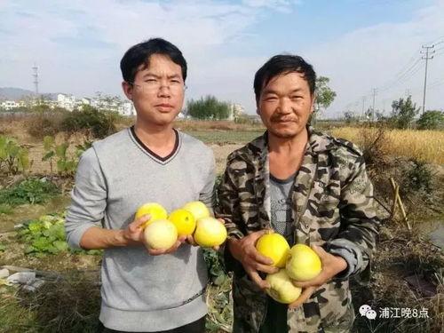 李子吃瓜群众视频,揭秘娱乐圈幕后故事