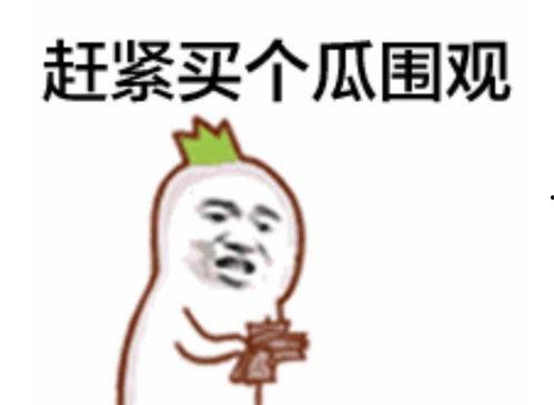 吃瓜群众刘静静视频全集,揭秘娱乐圈幕后真相