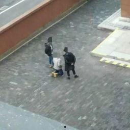 女朋友下跪吃瓜视频大全,盘点那些搞笑又感人的视频瞬间