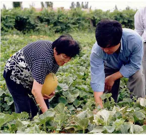 德院吃瓜视频,揭秘校园生活趣味瞬间