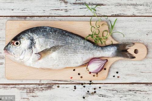 什么鱼会吃小瓜呢视频,哪种鱼儿偏爱小瓜美食？