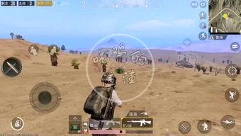 渣渣瓜吃鸡游戏视频,渣渣瓜吃鸡游戏精彩瞬间大盘点