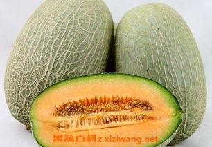 小陈吃哈密瓜视频播放全集,视频全集精彩回顾