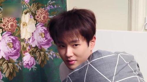 陈博豪现场吃瓜视频大全,视频大全揭秘娱乐圈幕后趣事