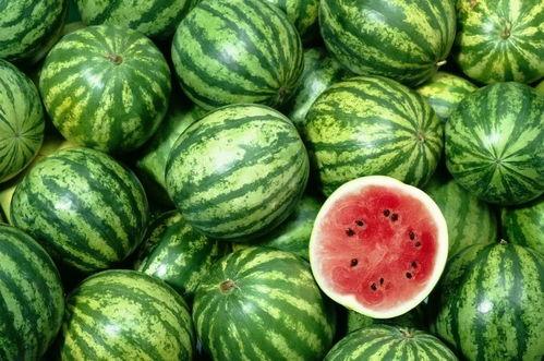 小绵瓜吃西瓜视频大全,萌娃欢乐大集合