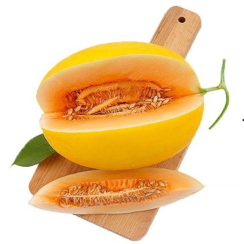 阿莫尔吃蜜瓜视频,一场视觉与味蕾的双重盛宴