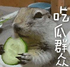 吃瓜视频大全完整版动物,吃瓜视频大全之趣味横生篇