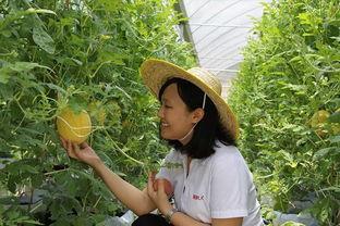 青州吃瓜的视频