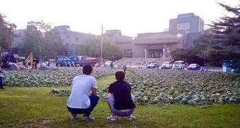 绍兴文理吃瓜事件视频,校园风波背后的真相揭秘