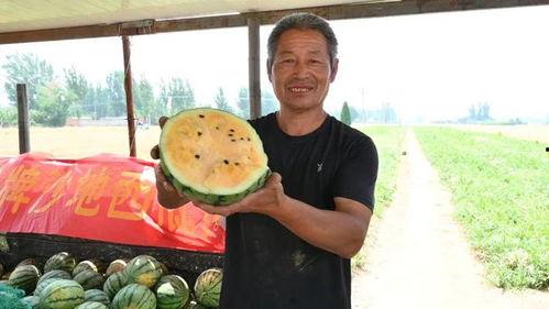 桑植最近吃瓜新闻视频播放,视频播放量飙升，揭秘幕后真相