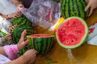 在家吃瓜了吗视频,一场网络热度的背后故事