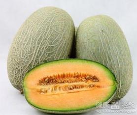 果蝇吃哈密瓜视频大全集,哈密瓜视频大全集揭秘