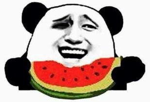 吃瓜群众傻妹子视频,趣味横生的瓜界风云