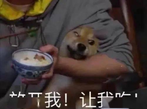 带你吃瓜发明搞笑视频,揭秘“带你吃瓜”搞笑视频背后的创意魅力